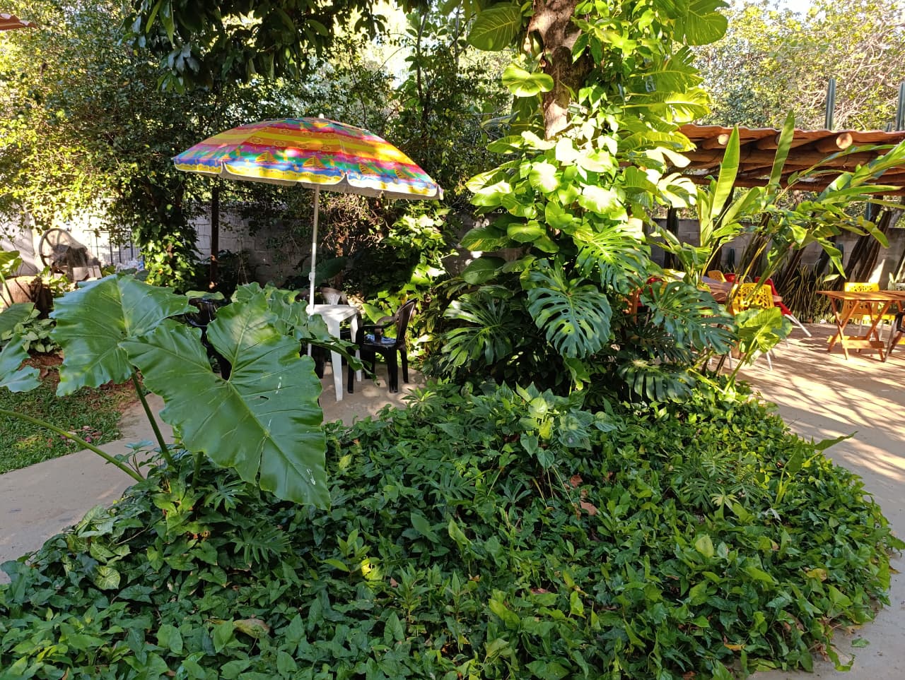 Casa Estela — foto 3
